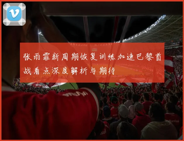 张雨霏新周期恢复训练加速巴黎首战看点深度解析与期待